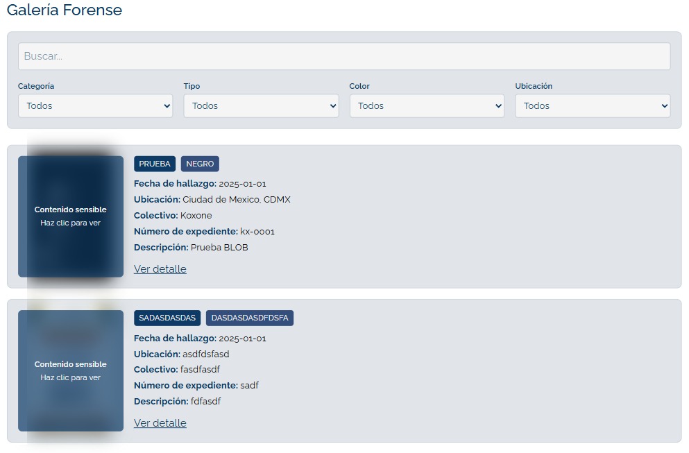 Dashboard de TestigoMX